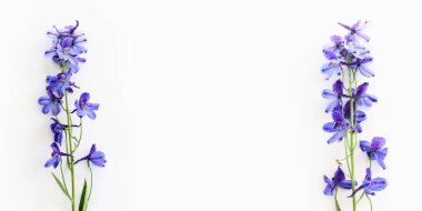 Beyaz izole arkaplan üzerinde menekşe desenli çiçek bileşiminin üst görünümü