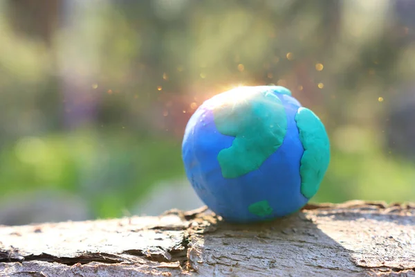 Modell Der Erde Auf Dem Boden Wald Mit Hellem Sonnenlicht — Stockfoto