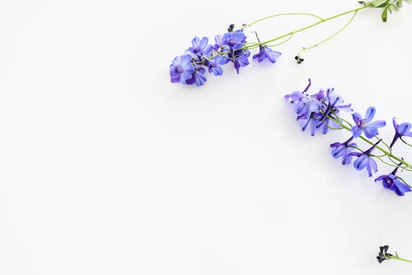 白い孤立した背景に紫色のデルフィニウムの花の組成のトップビューの画像 — ストック写真