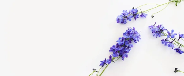 Top View Image Violet Delphinium Flowers Composition White Isolated Background — Stock Photo, Image