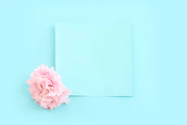 Horní Pohled Obrázek Jemné Lisianthus Květ Přes Pastelové Modré Pozadí — Stock fotografie