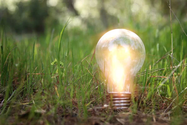 Energy Business Concept Image Creative Idea Innovation Light Bulb Metaphor — Photo