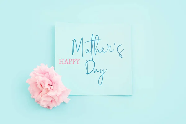 Mother Day Concept Pink Flower Pastel Blue Background — Stock Photo, Image