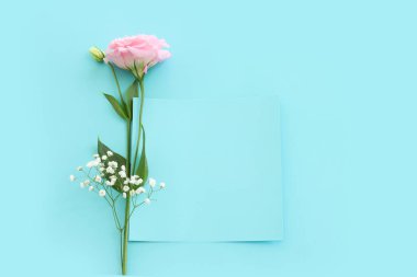 Pastel mavi arkaplan üzerinde narin lisianthus çiçeğinin üst görünümü