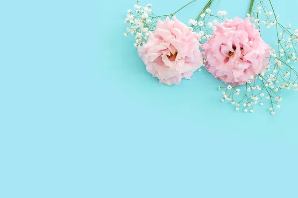 Вид Зверху Зображення Ніжних Квітів Лізіантуса Пастельно Блакитному Фоні — стокове фото