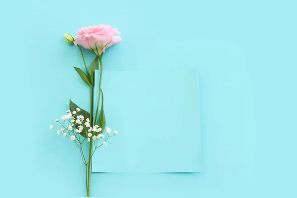 Изображение Сверху Нежного Цветка Лисиантуса Голубом Фоне — стоковое фото