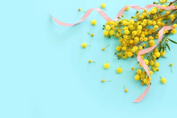 파스텔푸른 노란색 미모사 — 스톡 사진