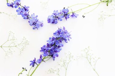 Beyaz izole arkaplan üzerinde menekşe desenli çiçek bileşiminin üst görünümü