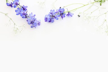 Beyaz izole arkaplan üzerinde menekşe desenli çiçek bileşiminin üst görünümü