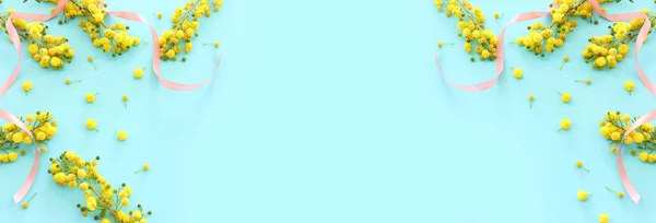 Зображення Зображення Весняно Жовтих Квітів Мімози Пастельному Синьому Фоні — стокове фото