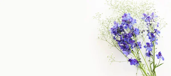 Widok Góry Obraz Fioletowe Kwiaty Delphinium Skład Nad Białym Odizolowanym — Zdjęcie stockowe
