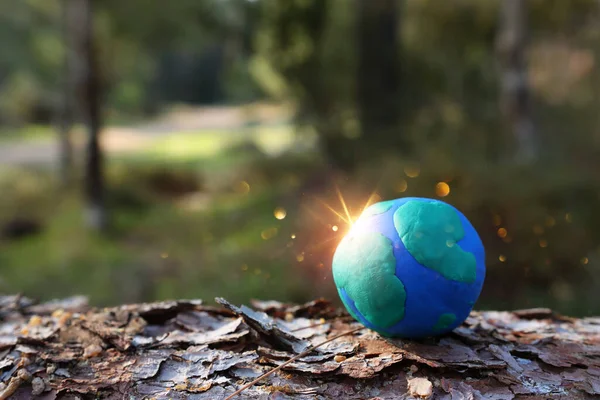 Modell Der Erde Auf Dem Boden Wald Mit Hellem Sonnenlicht — Stockfoto