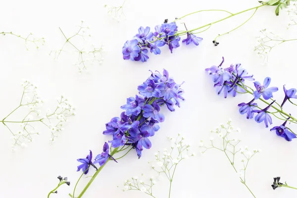 白い孤立した背景に紫色のデルフィニウムの花の組成のトップビューの画像 — ストック写真