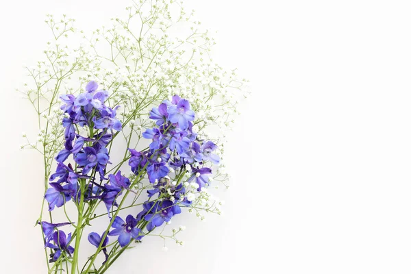 Top View Image Violet Delphinium Flowers Composition White Isolated Background — Stock Photo, Image