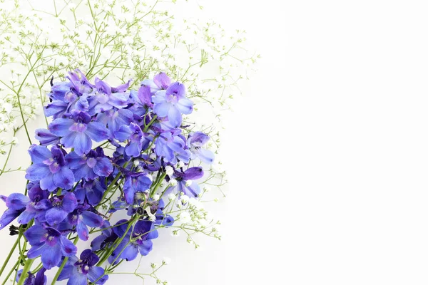 Widok Góry Obraz Fioletowe Kwiaty Delphinium Skład Nad Białym Odizolowanym — Zdjęcie stockowe