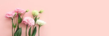 Pastel arkaplan üzerinde narin pembe çiçeklerin üst görünümü