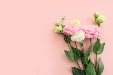 Pastel arkaplan üzerinde narin pembe çiçeklerin üst görünümü