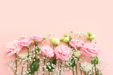 Hassas çiçeğin üst görünümü pastel arkaplan üzerinde