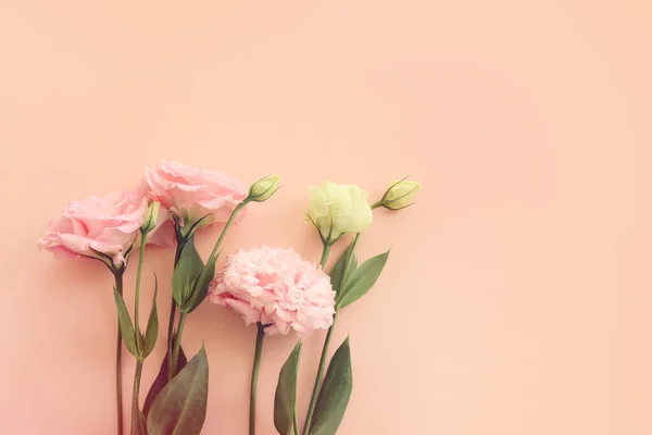 Изображение Нежного Цветка Фоне Пастели — стоковое фото