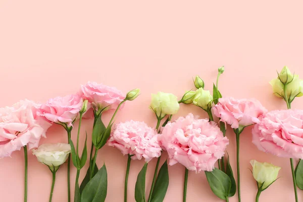 Bild Von Oben Mit Zarter Blume Über Pastellfarbenem Hintergrund — Stockfoto