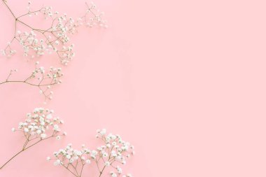 Pastel pembe arka planda küçük beyaz çingene çiçeklerinin üst görüntüsü