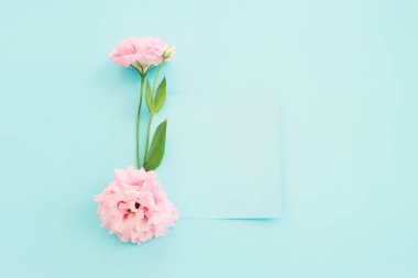 Pastel mavi arkaplan üzerinde narin lisianthus çiçeğinin üst görünümü