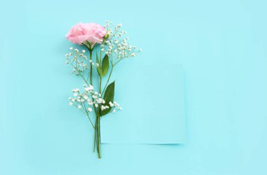 Pastel mavi arkaplan üzerinde narin lisianthus çiçeğinin üst görünümü