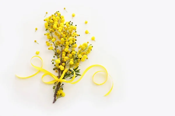 Imagen Vista Superior Composición Flores Mimosa Amarillo Primavera Sobre Fondo — Foto de Stock