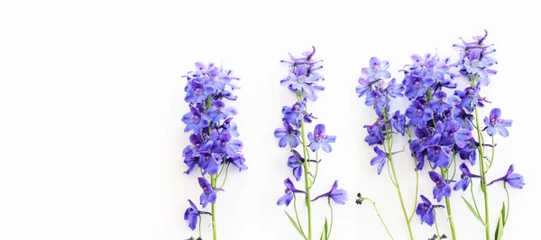 白色孤立背景下紫丁香花构图的顶视图图像 — 图库照片