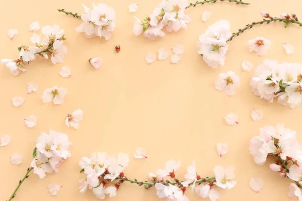 Изображение Весеннего Белого Цветения Вишни Желтом Пастельном Фоне — стоковое фото