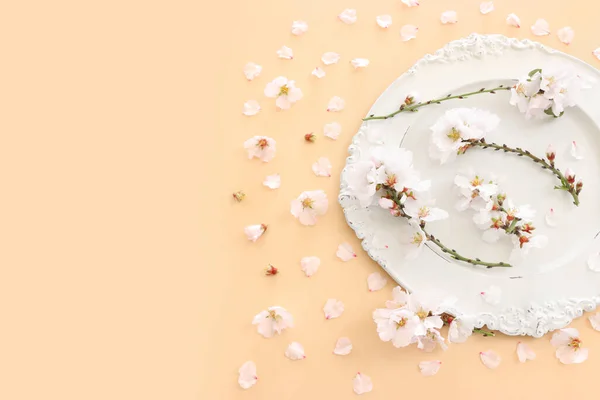 벚나무 빈터흰 접시의 나막신 — 스톡 사진