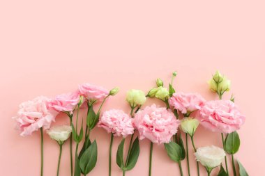 Pastel arkaplan üzerinde narin pembe çiçeklerin üst görünümü