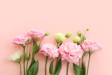 Pastel arkaplan üzerinde narin pembe çiçeklerin üst görünümü