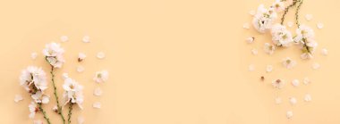 Sarı pastel arka plan üzerinde bahar beyaz kiraz çiçekleri resmi