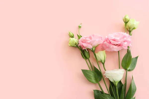 파스텔 분홍빛 꽃들의 꼭대기 — 스톡 사진