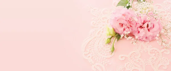 Närbild Bild Delikata Rosa Blommor Över Pastell Bakgrund — Stockfoto