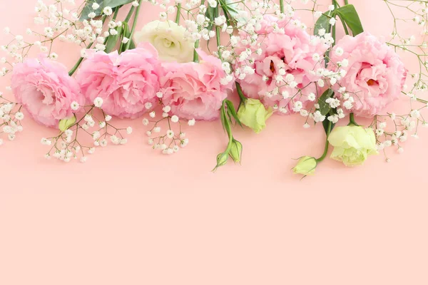 파스텔 분홍빛 꽃들의 꼭대기 — 스톡 사진