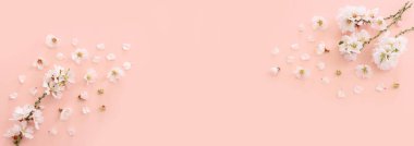 Pembe pastel arka planda bahar beyaz kiraz çiçekleri resmi