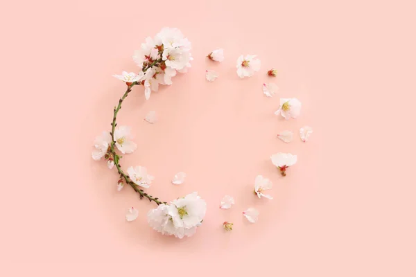 Зображення Весняного Білого Вишневого Дерева Рожевому Пастельному Фоні — стокове фото
