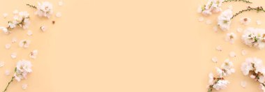 Sarı pastel arka plan üzerinde bahar beyaz kiraz çiçekleri resmi