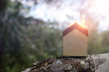 Doğada küçük bir ev imajı. Ekoloji, güneş enerjisi ve sürdürülebilirlik fikri