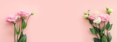 Pastel arkaplan üzerinde narin pembe çiçeklerin üst görünümü