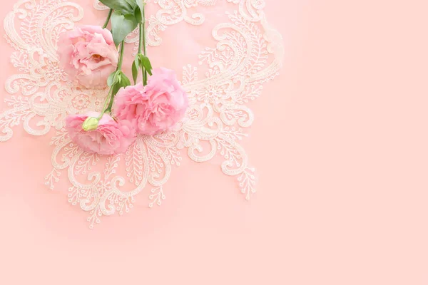 Top View Image Delicate Flower Pastel Background — Stock Photo, Image