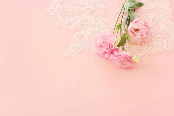 Hassas Çiçeğin Üst Görünümü Pastel Arkaplan Üzerinde — Stok fotoğraf