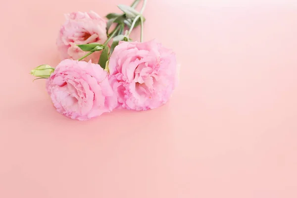 Вид Зверху Зображення Ніжних Рожевих Квітів Пастельному Фоні — стокове фото