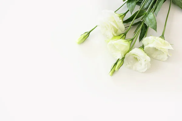 Верхний Вид Изображения Тонкий Красивый Белый Цвет Фона — стоковое фото