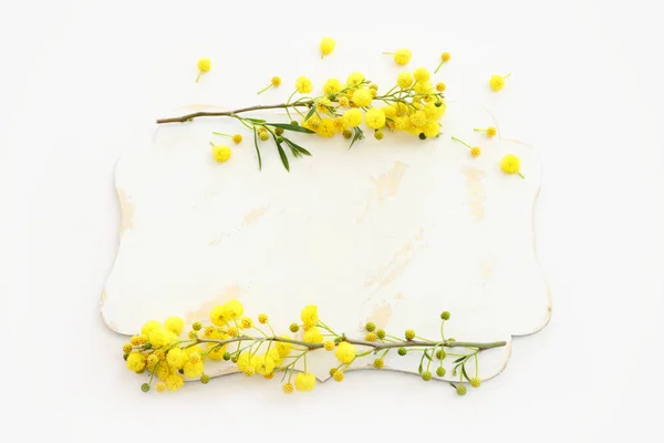 stock image top view of yellow mimosa flowers and empty board over white background. For mock up, copy space