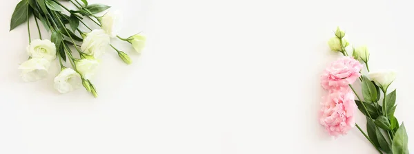 Bild Von Oben Von Zarten Schönen Weißen Und Rosa Blumen — Stockfoto