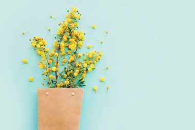 Bahar sarısı mimoza çiçeklerinin üst görünümü pastel mavi arkaplan üzerindeki kompozisyonu