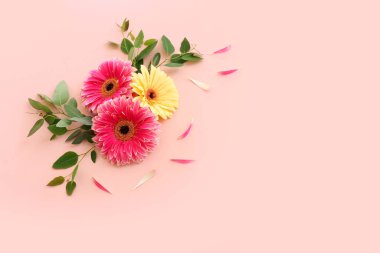 Pastel pembe arkaplan üzerinde güzel çiçek kompozisyonu görüntüsü